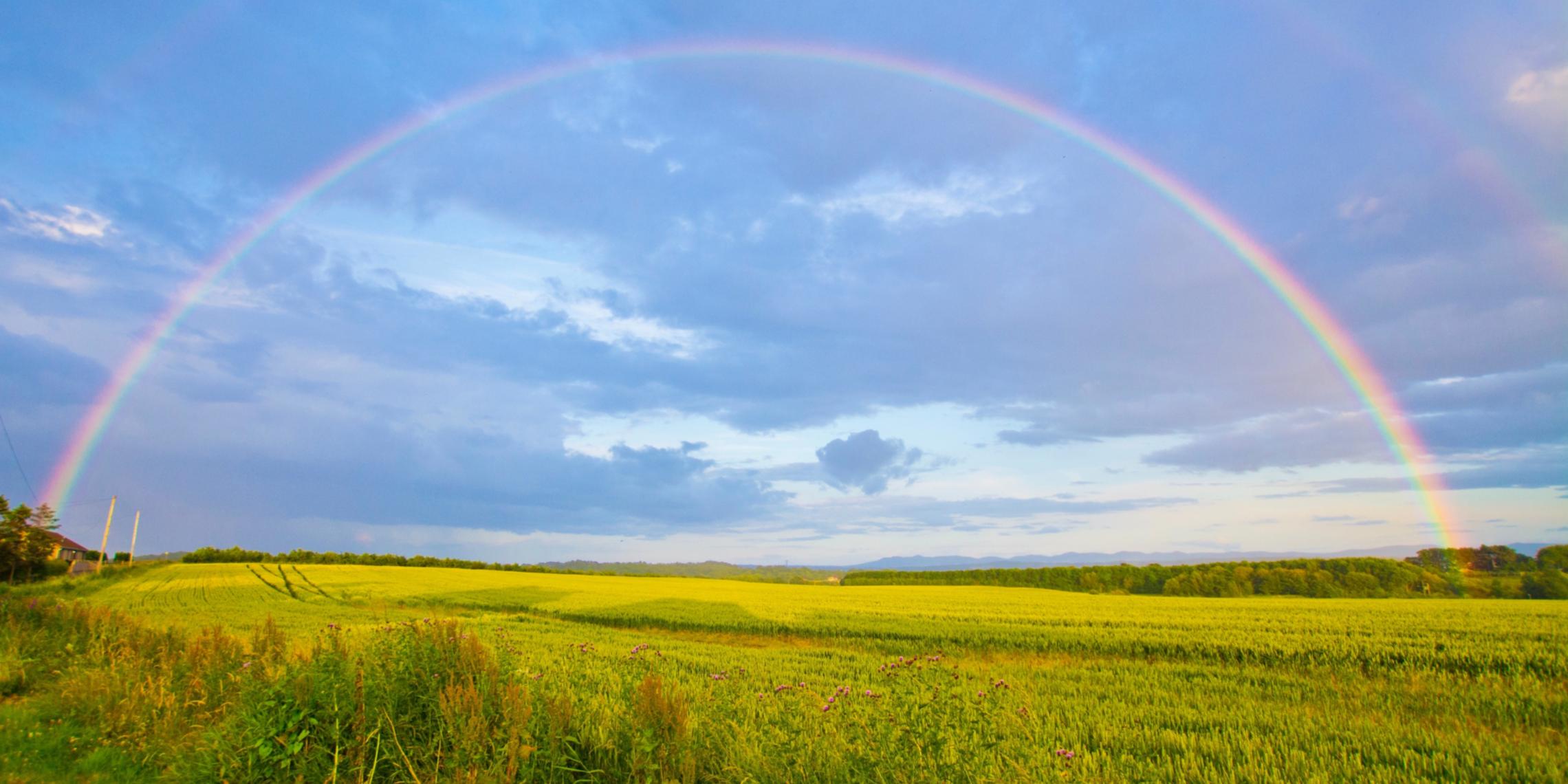 Regenbogen