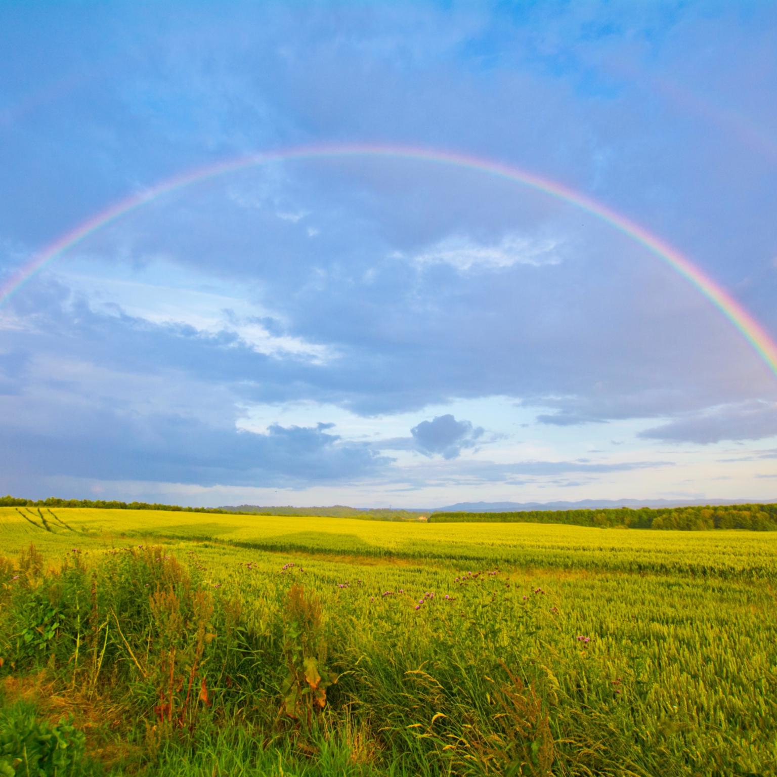 Regenbogen - Zeichen der Hoffnung